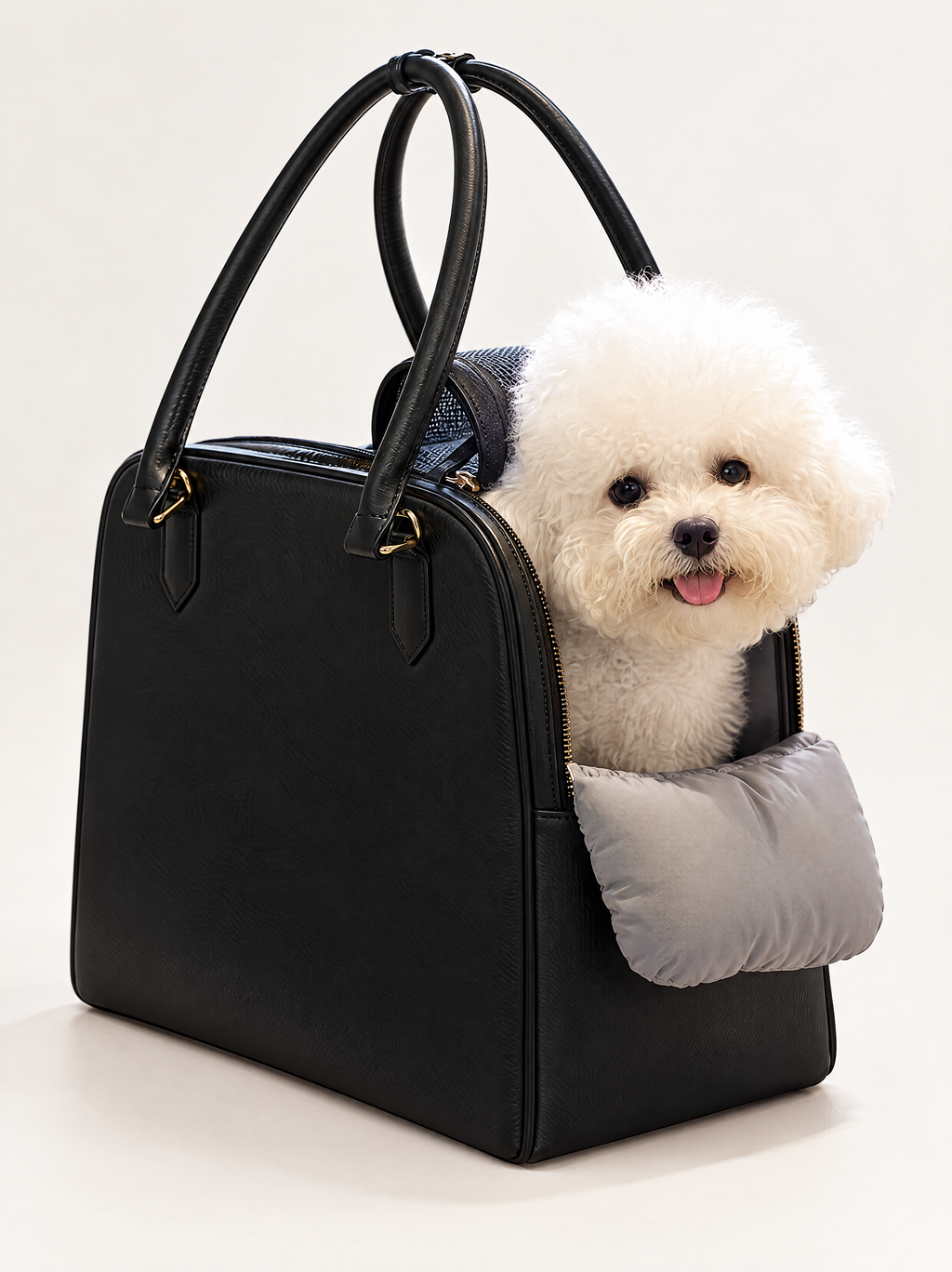 Soft-Sided Pet Carrier Bag